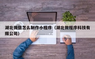 丽江湖北微信怎么制作小程序（湖北微程序科技有限公司）
